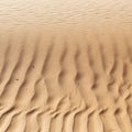 in oman the old desert and the empty quarter abstract texture l Royalty Free Stock Photo