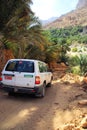 Oman road trip