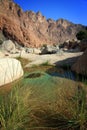 Oman: Tempting pool in Wadi Tiwi Royalty Free Stock Photo