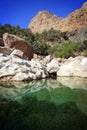 Oman: Tempting pool in Wadi Tiwi Royalty Free Stock Photo