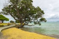 Omana Beach Auckland New Zealand