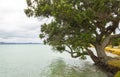 Omana Beach Auckland New Zealand