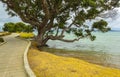 Omana Beach Auckland New Zealand