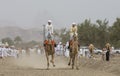Omani man riding a camel on a coutryside of Oman Royalty Free Stock Photo