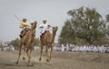 Omani men racing on camels Royalty Free Stock Photo