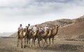 Omani men riding camels in a landscape of rural Oman Royalty Free Stock Photo