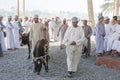 Omani people at a traditional goat market Royalty Free Stock Photo