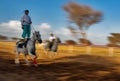 Omani traditional Bedouin horse show in Sharqiya