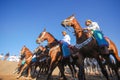 Omani traditional horse show