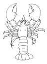 Omar in sketch style. hand-drawn sketch-style marine animal lobster crustacean, whole top view, isolated black outline on white