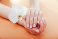 Ombre french manicure with orchid on orange background. Close up of nail art with white orchid flower. Salon Royalty Free Stock Photo