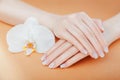 Ombre french manicure with white orchid on orange background. Female hands with white ombre french manicure.