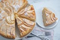 ome made Apple Pie with fresh red apple Royalty Free Stock Photo
