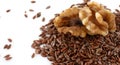 Omega-3 Fatty Acids: Walnuts and Flax Seeds Royalty Free Stock Photo