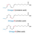 Omega-n fatty acids, chemical formulas and skeletal structures Royalty Free Stock Photo