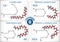 Omega-6, polyunsaturated fatty acids. Linoleic acid LA, gamma-linolenic acid GLA, arachidonic acid AA, ARA, dihomo-gamma-