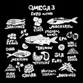 Omega 3 sources vector set Royalty Free Stock Photo