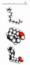 Omega-3 unsaturated fatty acid (alpha-linolenic acid), molecular model Royalty Free Stock Photo