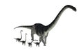 Omeisaurus Sauropod Dinosaur with Young