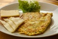 Omelet with cheese and salad Royalty Free Stock Photo