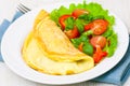 Omelet with vegetable salad Royalty Free Stock Photo