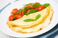 Omelet with vegetable salad Royalty Free Stock Photo
