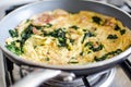 Omelete Royalty Free Stock Photo