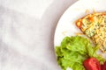 Omelette with vegetable salad Royalty Free Stock Photo