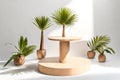 eometric shape wood pedestal table podium with tropical palm tree Generated Ai