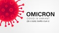 Omicron COVID-19 Variant B.1.1.529 SARS-CoV-2 gray banner