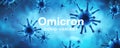 Omicron COVID-19 variant poster, panoramic banner with coronavirus germs