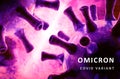 Omicron COVID-19 variant poster, purple banner with coronavirus germs