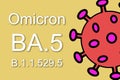 Omicron variant BA.5. Dramatic increase in disease with new predominant variant of Covid-19.
