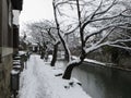 Omihachiman Moat Walkway Covered In Snow, Shiga, Japan Royalty Free Stock Photo