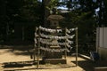 Omikuji or fortune paper at a Shinto shrine in the city of Sakura in Japan.