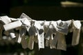 Omikuji or fortune paper at a Shinto shrine in the city of Sakura in Japan.