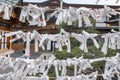 Omikuji - paper strips with random fortunes Royalty Free Stock Photo