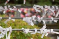 Omikuji at Shinto temple in Japan