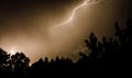 Ominious lightning strike that landed behind trees at night Royalty Free Stock Photo