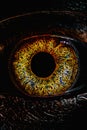 Sinister Biotic Yellow Eye Royalty Free Stock Photo