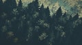 Ominous Forest Wallpapers: Swiss Realism With Vintage Imagery