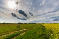 Ominous storm clouds and canola fields Royalty Free Stock Photo