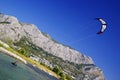 OMIS, CROATIA, SEPTEMBER 18, 2020 - Tourists enjoying kitesurfing during a windy sunny day in Omis Resort, Croatia. Royalty Free Stock Photo