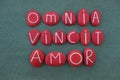 Omnia Vincit Amor, Love conquers all, latin phrase, Virgil poet, text composed with red colored stone letters over green sand Royalty Free Stock Photo
