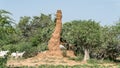 Huge termite mound in Africa, South Ethiopia, Omo valley Royalty Free Stock Photo