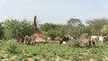 Huge termite mound in Africa, South Ethiopia, Omo valley Royalty Free Stock Photo