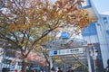 OMOTE-SANDO, TOKYO JAPAN - DECEMBER 29, 2019: Entrance of Tokyo Metro Omote Sando subway station in Shibuya ward, downtown Tokyo.