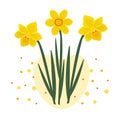 Composition of three daffodils Royalty Free Stock Photo