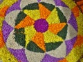 Onam flower festivel