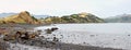 Onawe Paninsula Volcanic Plug, Akaroa Harbour, New Zealand Royalty Free Stock Photo